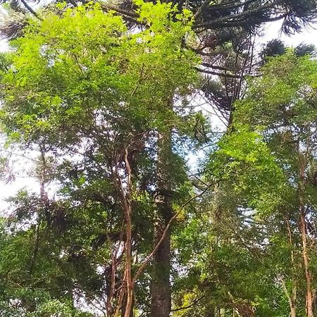 Chacara Rancho Paraiso Piraquara Luaran gambar