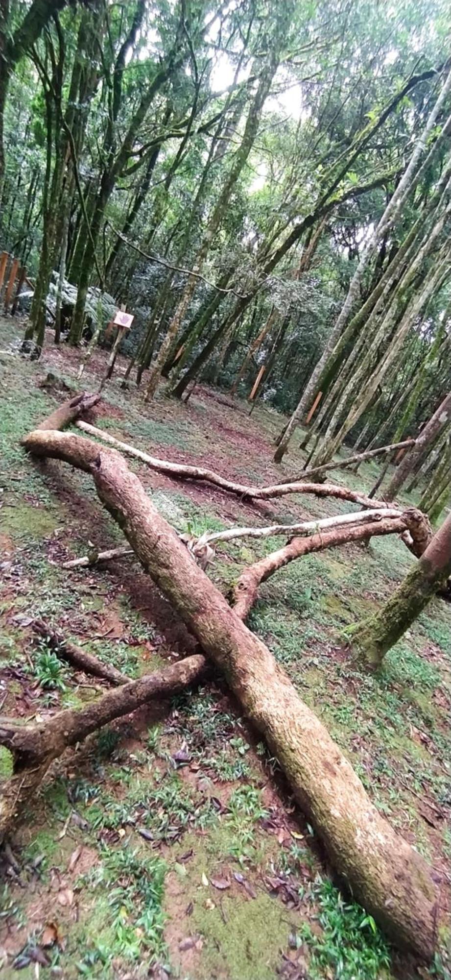 Chacara Rancho Paraiso Piraquara Luaran gambar