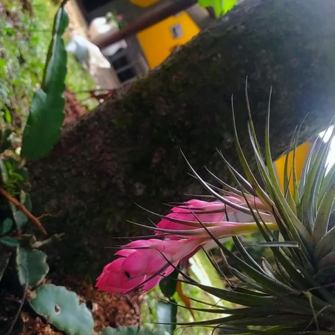 Chacara Rancho Paraiso Piraquara Luaran gambar
