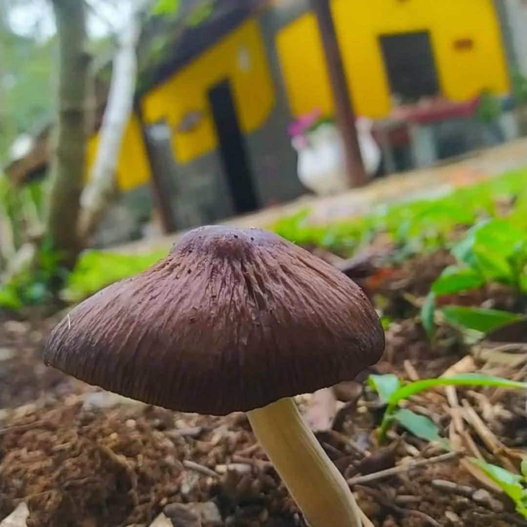 Chacara Rancho Paraiso Piraquara Luaran gambar