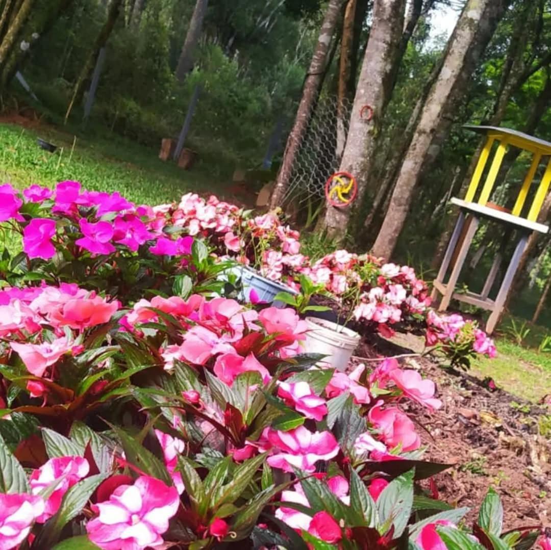 Chacara Rancho Paraiso Piraquara Luaran gambar