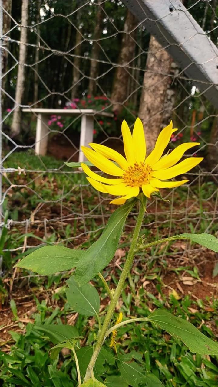 Chacara Rancho Paraiso Piraquara Luaran gambar